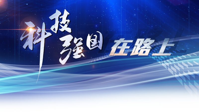 企业数字化人才能力标准：构建未来竞争力的基石